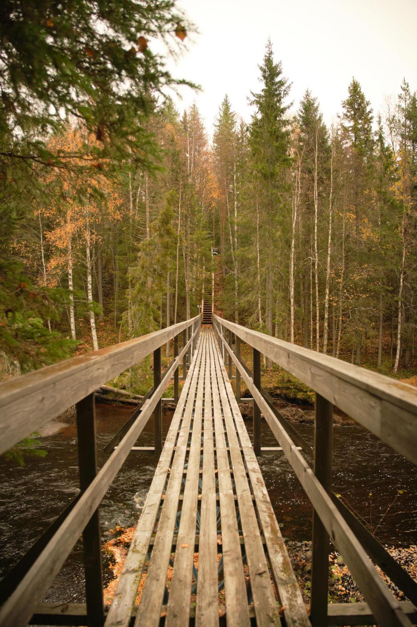 מלון Lapptrask Langforsen Glamping & Lapland Experience מראה חיצוני תמונה