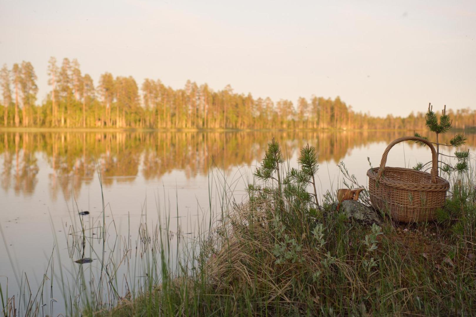 מלון Lapptrask Langforsen Glamping & Lapland Experience מראה חיצוני תמונה