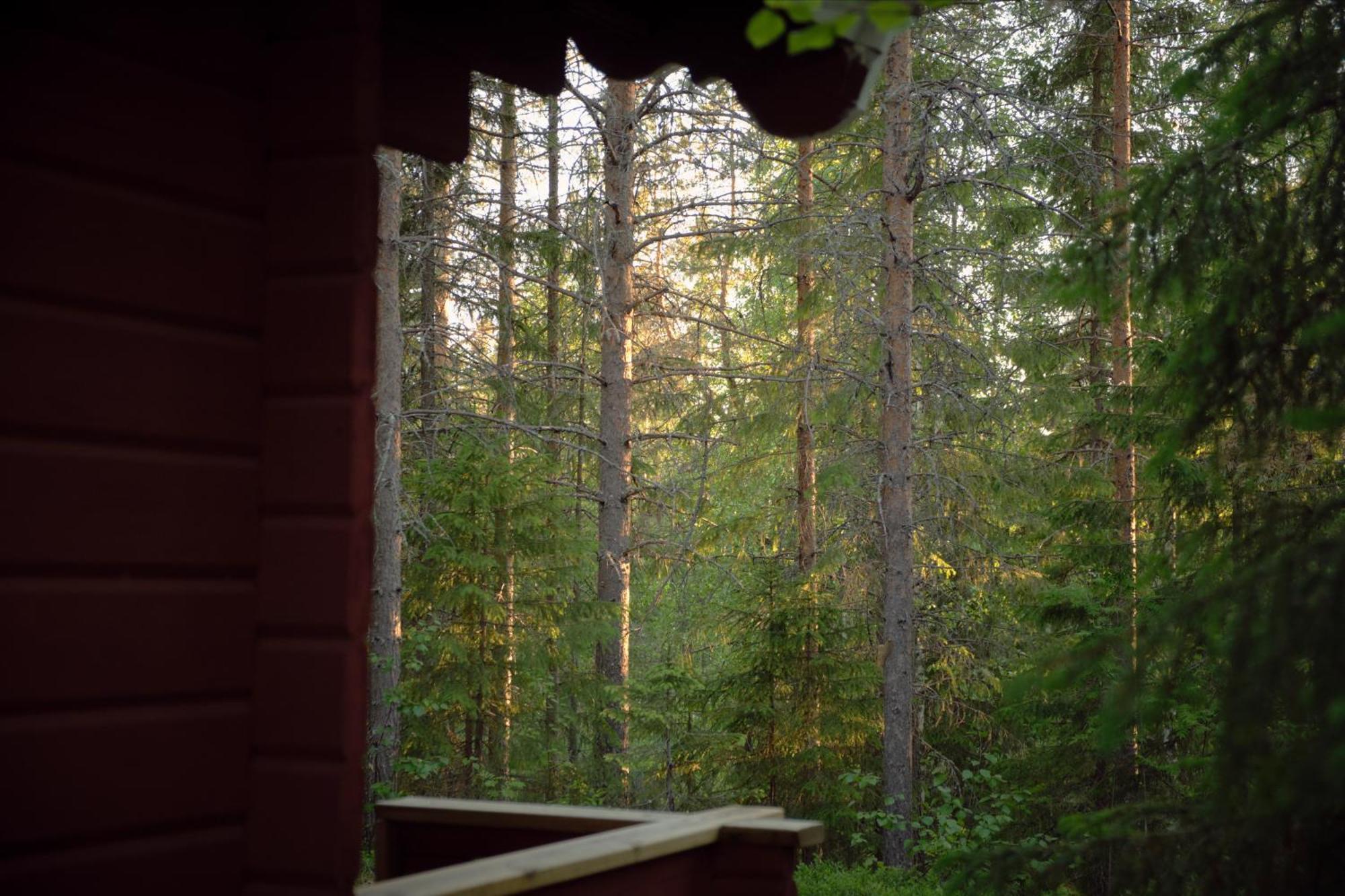 מלון Lapptrask Langforsen Glamping & Lapland Experience מראה חיצוני תמונה